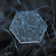 Image for article titled Amazing close-up photos of snowflakes taken without a microscope